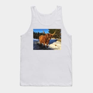 Scottish Highland Cattle Cow 1919 Tank Top